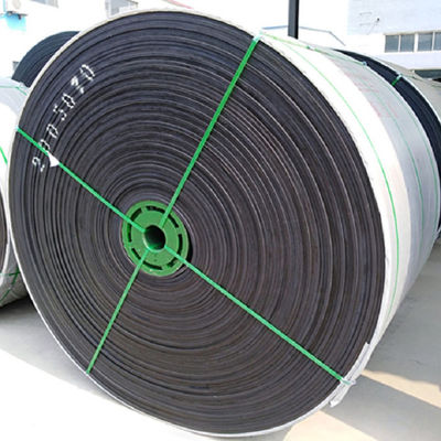 EP100 EP200 Sabuk Konveyor Khusus Tahan Kimia W700mm