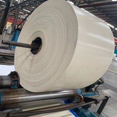 Sabuk Konveyor Karet 3 Ply NN200 EP200 Putih