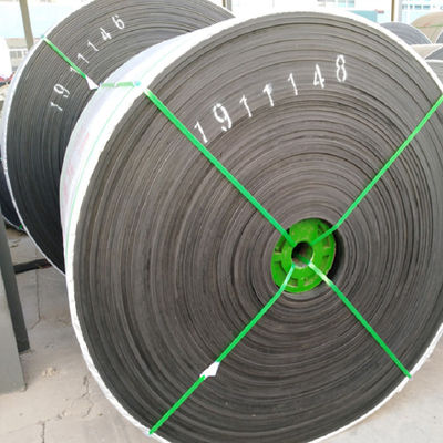 OEM EP200 Sabuk Konveyor Khusus Tahan Kimia